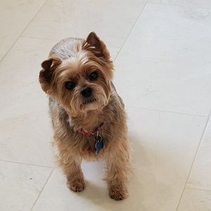 Meet your Posher, Gary